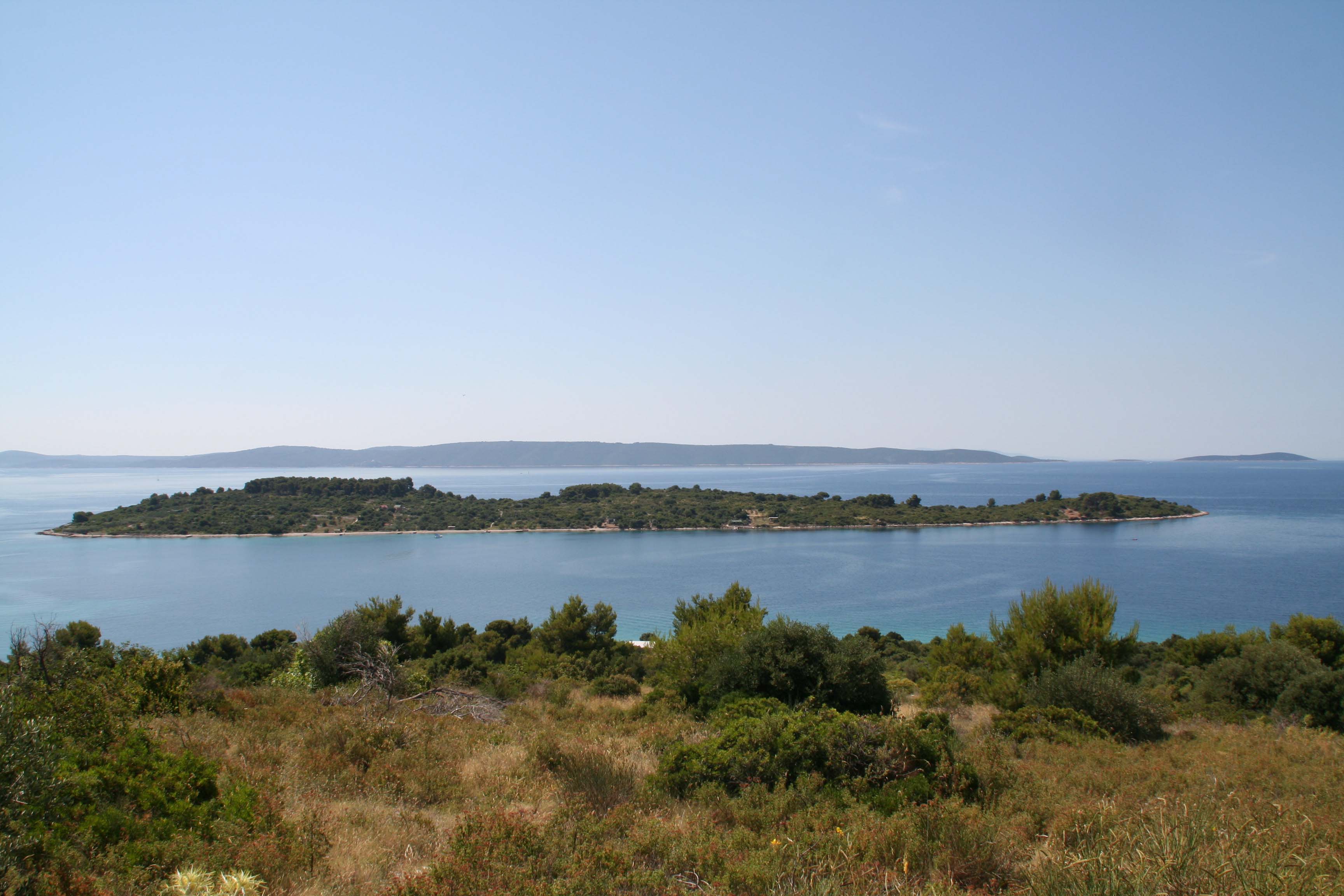 IMG 9888