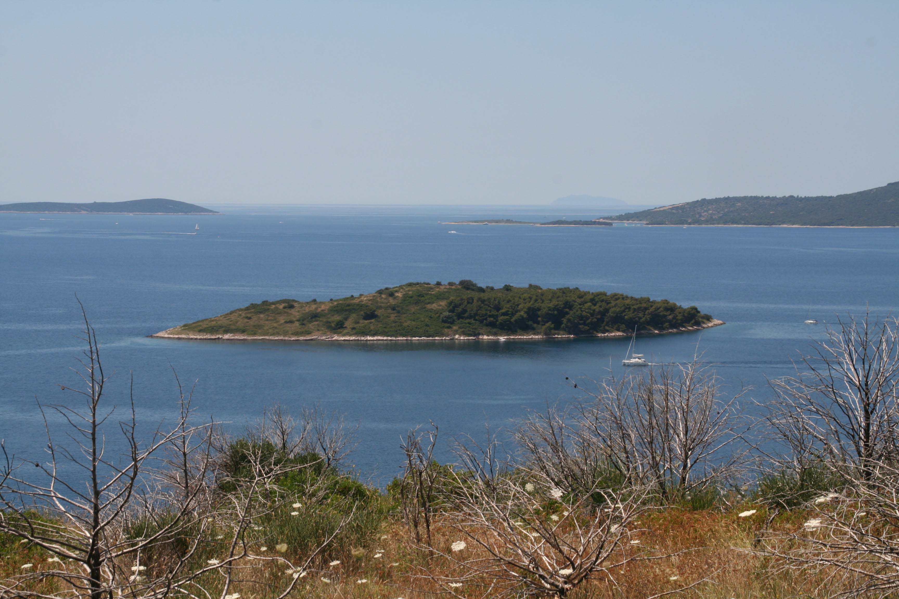 IMG 9916